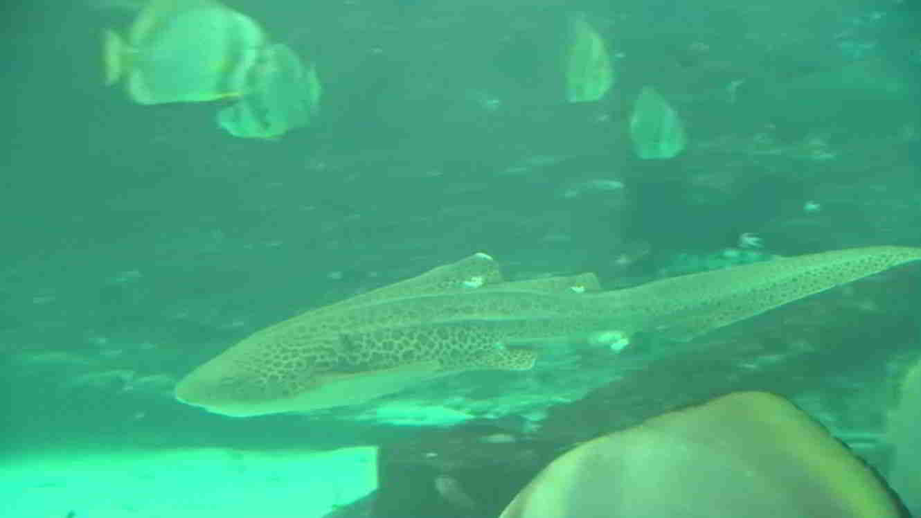 Photo d'illustration de l'article