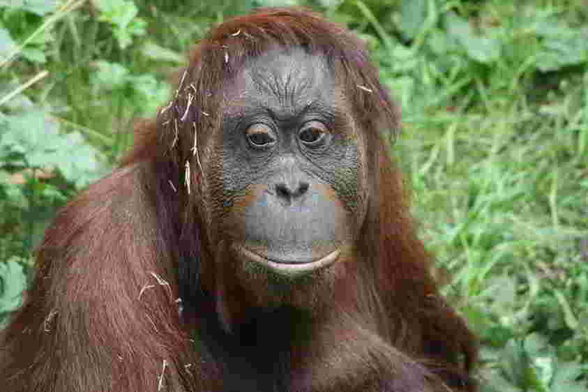 Photo d'illustration de l'article